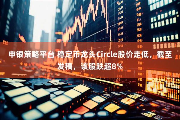 申银策略平台 稳定币龙头Circle股价走低，截至发稿，该股跌超8%