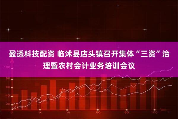 盈透科技配资 临沭县店头镇召开集体“三资”治理暨农村会计业务培训会议